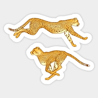 Sprinting Cheetahs Sticker